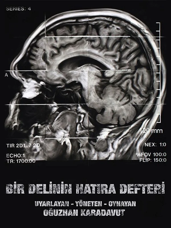 Bir Delinin Hatıra Defteri Oğuzhan Karadavut Tiyatro Oyunu afişi